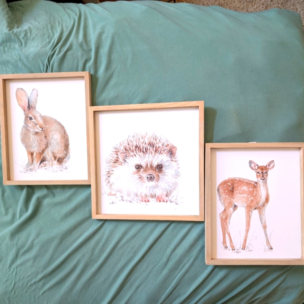 Box#18    Set of 3 Framed Prints by Creative Co-op